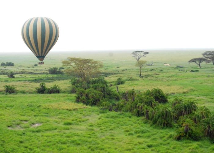 balloon safari